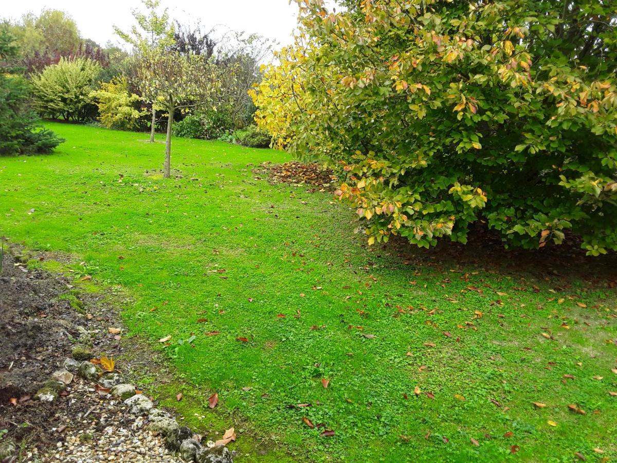 Chambre d'hôtes côté jardin Soulignonne Esterno foto